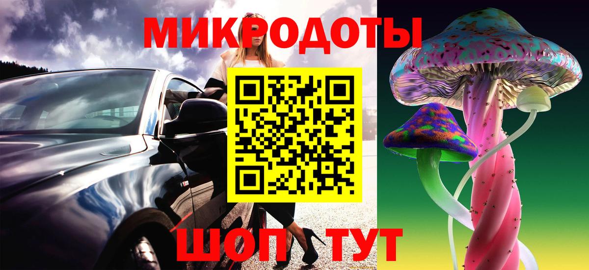 Псилоцибиновые грибы Psilocybe  Вход с VPN  Михайловск 