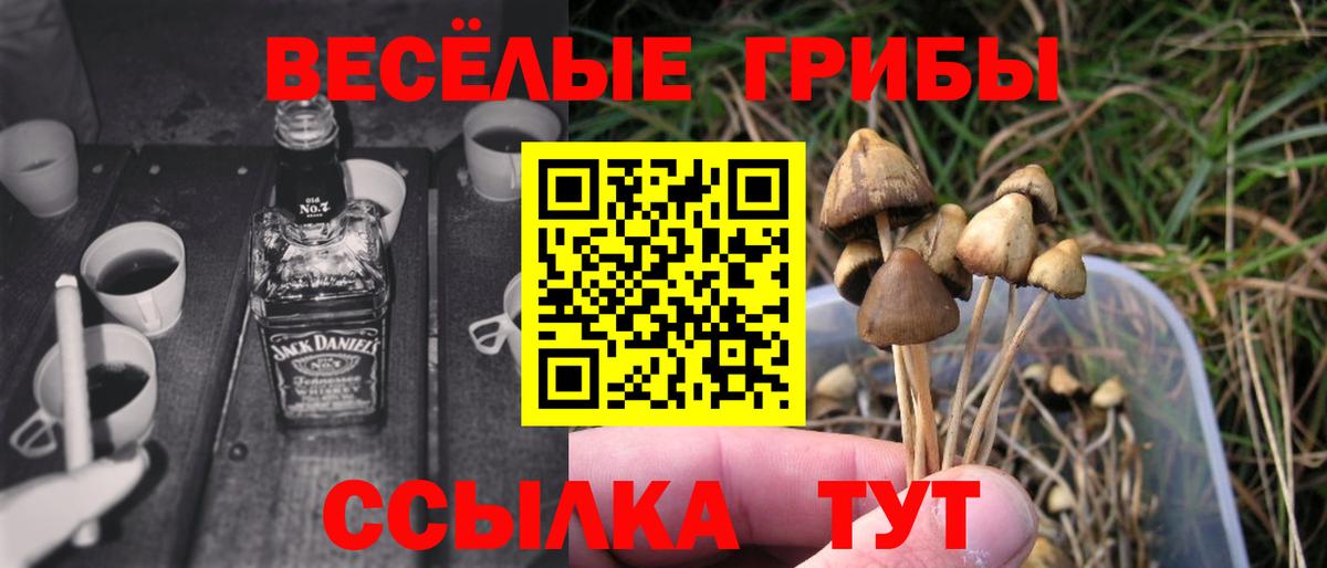 Псилоцибиновые грибы мухоморы Михайловск